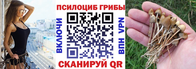 Галлюциногенные грибы ЛСД  MEGA   Лесосибирск 